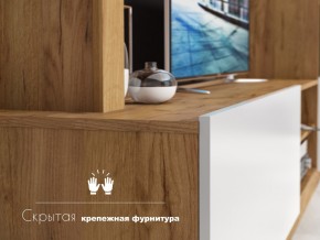 Гостиная Флекс в Аше - asha.mebel74.com | фото 4