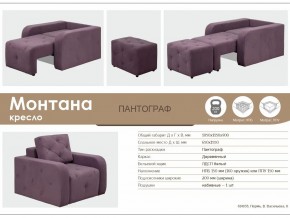 Кресло-кровать Монтана в Аше - asha.mebel74.com | фото 7
