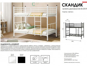 Кровать двухъярусная Скандик 42.20-01 в Аше - asha.mebel74.com | фото 2