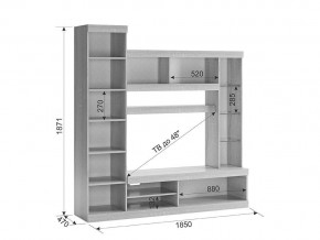 Мини-стенка Макси дуб сонома/белое дерево в Аше - asha.mebel74.com | фото 4