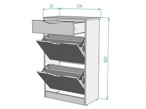 Обувница W59 в Аше - asha.mebel74.com | фото 3