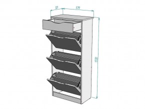 Обувница W61 в Аше - asha.mebel74.com | фото 3