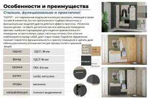 Прихожая Санти Белый/Дуб Крафт Золотой в Аше - asha.mebel74.com | фото 3