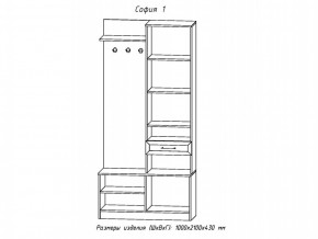 Прихожая София 1 в Аше - asha.mebel74.com | фото 2