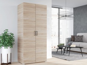 Шкаф 2 створчатый в Аше - asha.mebel74.com | фото