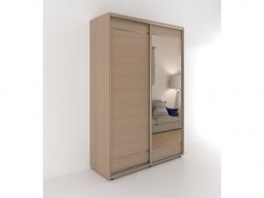 Шкаф-купе Акцент-Лайт ДЗ 1600-600 в Аше - asha.mebel74.com | фото 1