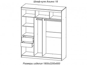 Шкаф-купе Альянс 18 комплект зеркал №4 в Аше - asha.mebel74.com | фото 2