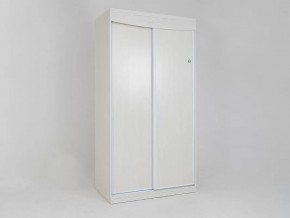 Шкаф-купе без зеркала Мария-Луиза 6.16 в Аше - asha.mebel74.com | фото