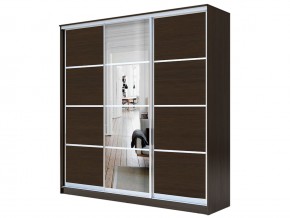 Шкаф-купе Хит 22-18-151 с разделителями в Аше - asha.mebel74.com | фото