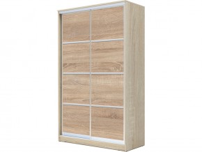 Шкаф-купе Хит 22-4-12-11 с разделителями в Аше - asha.mebel74.com | фото