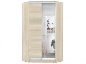 Шкаф-купе Хит-У-22-4-15 в Аше - asha.mebel74.com | фото