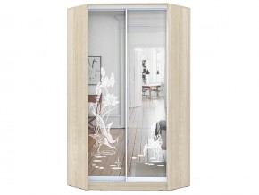 Шкаф-купе Хит-У-24-4-66 узор 01 в Аше - asha.mebel74.com | фото