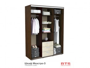 Шкаф-купе Маэстро венге/лоредо в Аше - asha.mebel74.com | фото 2