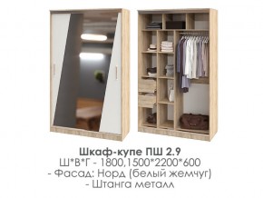 шкаф-купе ПШ-2.9 1500 Норд Белый жемчуг 1500 в Аше - asha.mebel74.com | фото