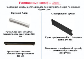 Шкаф с 1 ящиком со штангой Экон ЭШ1-РП-24-4-R-1я с зеркалом в Аше - asha.mebel74.com | фото 2