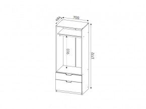 Шкаф с 2-мя ящиками ЛДСП Фаворит в Аше - asha.mebel74.com | фото 2