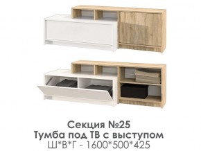 Тумба под ТВ с выступом Эдем-1 секция №25 в Аше - asha.mebel74.com | фото 2