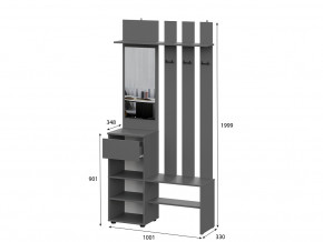 Вешалка с зеркалом Денвер Графит серый в Аше - asha.mebel74.com | фото 2